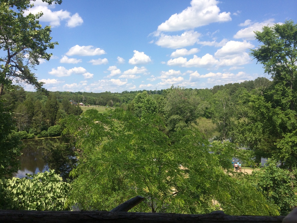  View from the treetops…so beautiful!!! 